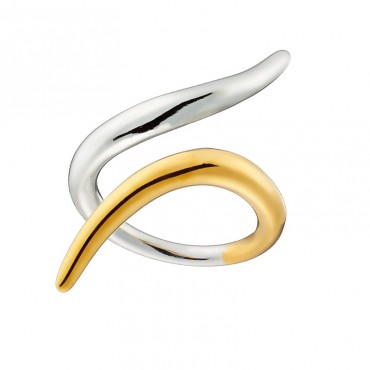 Ατσάλινο δίχρωμο δαχτυλίδι 