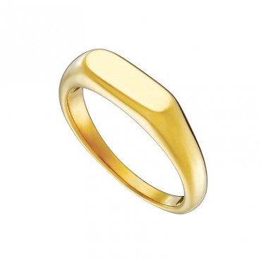 Ατσάλινο επίχρυσο δαχτυλίδι με λουστρέ φινίρισμα