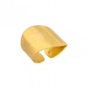 Ασημένιο επίχρυσο δαχτυλίδι με ματ φινίρισμα